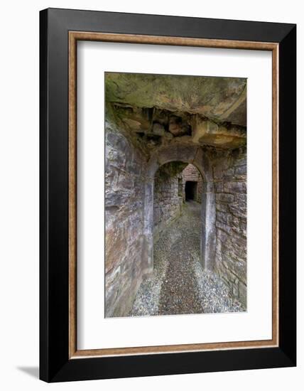 Secretive passageways, wind all through massive Moyne Abbey, County Mayo, Ireland.-Betty Sederquist-Framed Photographic Print