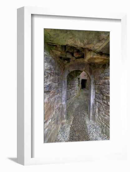 Secretive passageways, wind all through massive Moyne Abbey, County Mayo, Ireland.-Betty Sederquist-Framed Photographic Print