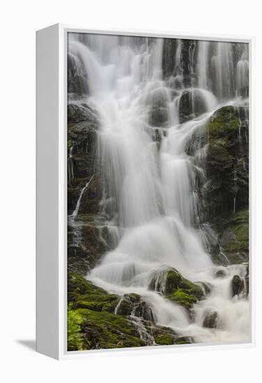 Section of Mingo Falls, Great Smoky Mountains National Park, Tennessee-Adam Jones-Framed Premier Image Canvas