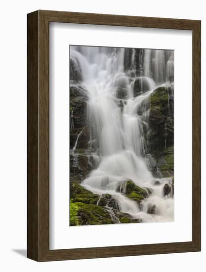 Section of Mingo Falls, Great Smoky Mountains National Park, Tennessee-Adam Jones-Framed Photographic Print