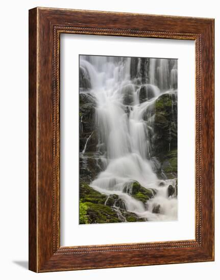 Section of Mingo Falls, Great Smoky Mountains National Park, Tennessee-Adam Jones-Framed Photographic Print