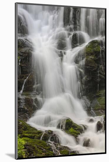 Section of Mingo Falls, Great Smoky Mountains National Park, Tennessee-Adam Jones-Mounted Photographic Print