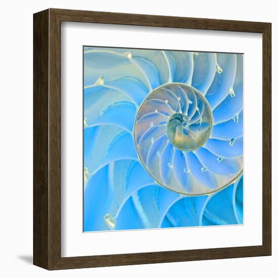 Section Of Nautilus Shell-null-Framed Art Print