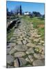 Section of Paved Road, Vetulonia Necropolis, Tuscany, Italy, Etrusco-Roman Civilization-null-Mounted Giclee Print