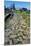 Section of Paved Road, Vetulonia Necropolis, Tuscany, Italy, Etrusco-Roman Civilization-null-Mounted Giclee Print