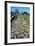 Section of Paved Road, Vetulonia Necropolis, Tuscany, Italy, Etrusco-Roman Civilization-null-Framed Giclee Print