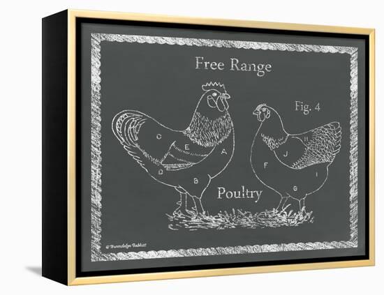 Sectioned Poultry-Gwendolyn Babbitt-Framed Stretched Canvas