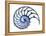 Sectioned Shell of a Nautilus, Artwork-PASIEKA-Framed Premier Image Canvas