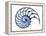 Sectioned Shell of a Nautilus, Artwork-PASIEKA-Framed Premier Image Canvas
