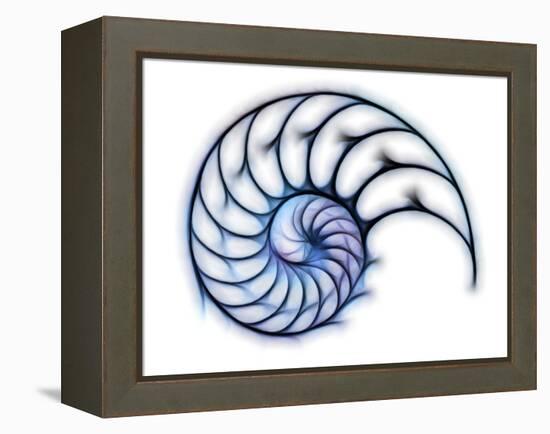 Sectioned Shell of a Nautilus, Artwork-PASIEKA-Framed Premier Image Canvas