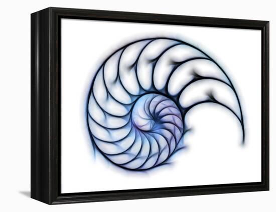 Sectioned Shell of a Nautilus, Artwork-PASIEKA-Framed Premier Image Canvas