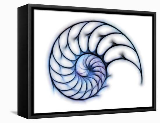 Sectioned Shell of a Nautilus, Artwork-PASIEKA-Framed Premier Image Canvas