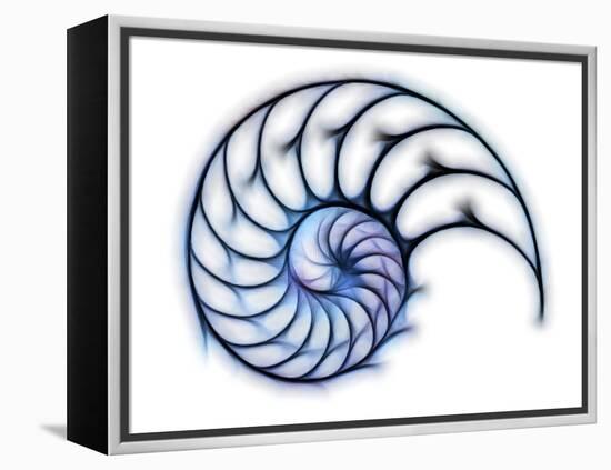 Sectioned Shell of a Nautilus, Artwork-PASIEKA-Framed Premier Image Canvas