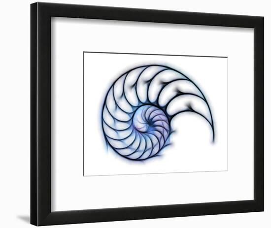 Sectioned Shell of a Nautilus, Artwork-PASIEKA-Framed Premium Photographic Print