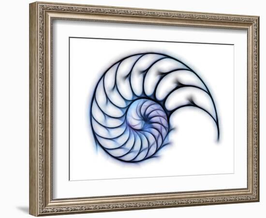 Sectioned Shell of a Nautilus, Artwork-PASIEKA-Framed Photographic Print