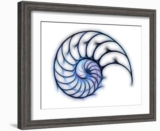 Sectioned Shell of a Nautilus, Artwork-PASIEKA-Framed Photographic Print