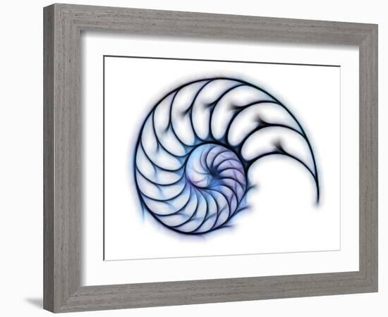 Sectioned Shell of a Nautilus, Artwork-PASIEKA-Framed Photographic Print