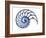 Sectioned Shell of a Nautilus, Artwork-PASIEKA-Framed Photographic Print