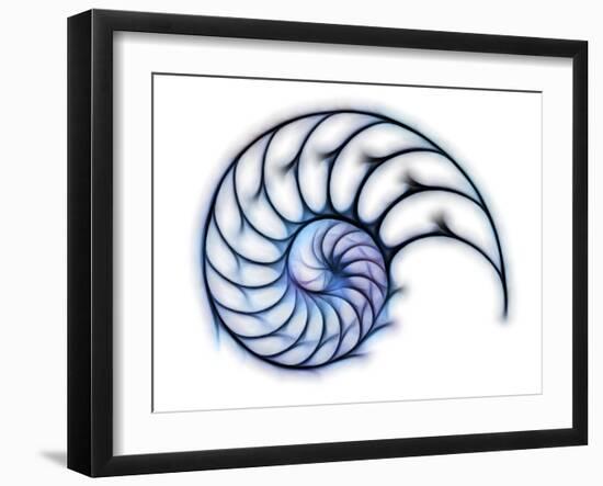 Sectioned Shell of a Nautilus, Artwork-PASIEKA-Framed Photographic Print