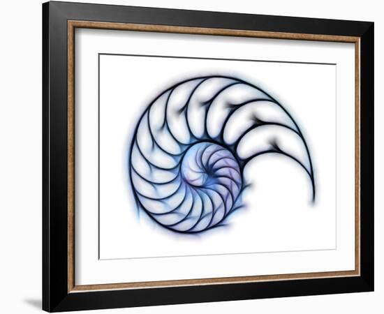 Sectioned Shell of a Nautilus, Artwork-PASIEKA-Framed Photographic Print