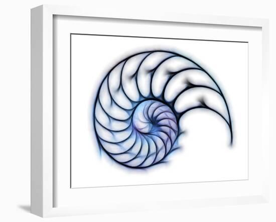 Sectioned Shell of a Nautilus, Artwork-PASIEKA-Framed Photographic Print