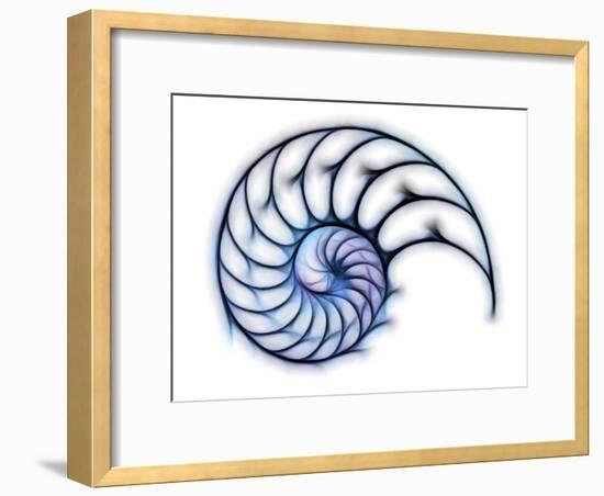 Sectioned Shell of a Nautilus, Artwork-PASIEKA-Framed Photographic Print