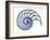 Sectioned Shell of a Nautilus, Artwork-PASIEKA-Framed Photographic Print
