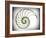 Sectioned Shell of a Nautilus, Artwork-PASIEKA-Framed Photographic Print