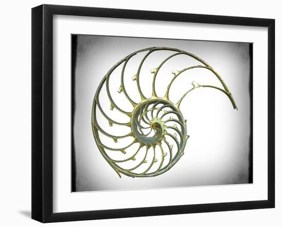 Sectioned Shell of a Nautilus, Artwork-PASIEKA-Framed Photographic Print