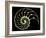 Sectioned Shell of a Nautilus-PASIEKA-Framed Photographic Print