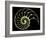 Sectioned Shell of a Nautilus-PASIEKA-Framed Photographic Print