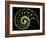 Sectioned Shell of a Nautilus-PASIEKA-Framed Photographic Print