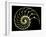 Sectioned Shell of a Nautilus-PASIEKA-Framed Photographic Print