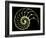 Sectioned Shell of a Nautilus-PASIEKA-Framed Photographic Print