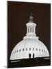 Security Agents Stand Watch on the Roof of the U.S. Capitol-null-Mounted Photographic Print