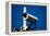 Security Camera-Nathan Wright-Framed Premier Image Canvas