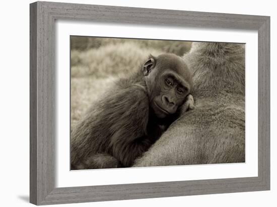 Security-Susann Parker-Framed Photographic Print