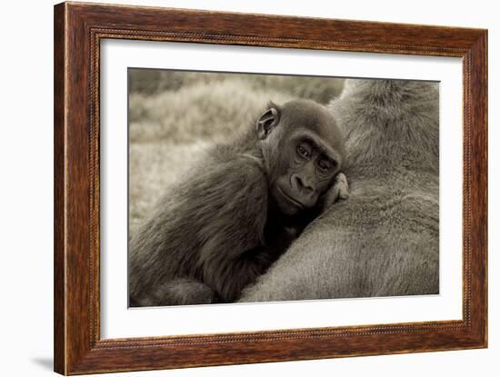 Security-Susann Parker-Framed Photographic Print