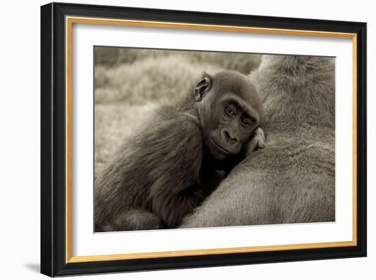 Security-Susann Parker-Framed Photographic Print