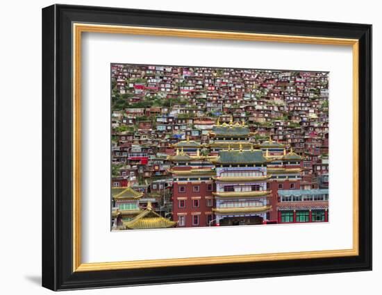 Seda Larung Wuming, temple with red log cabins, Garze, Sichuan Province, China-Keren Su-Framed Photographic Print