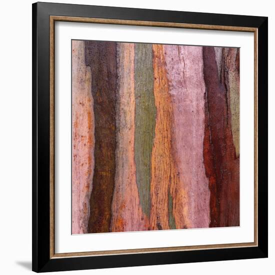 Sedimentary Strata-Micha Pawlitzki-Framed Photographic Print