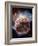 Sedna, Kuiper Belt Object-Victor Habbick-Framed Photographic Print