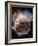 Sedna, Kuiper Belt Object-Victor Habbick-Framed Photographic Print