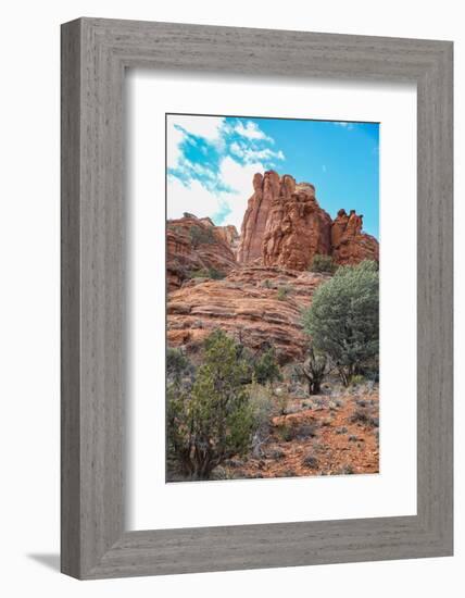 Sedona, Arizona, USA. Red rock formations-Jolly Sienda-Framed Photographic Print