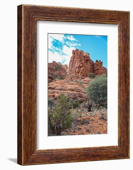 Sedona, Arizona, USA. Red rock formations-Jolly Sienda-Framed Photographic Print