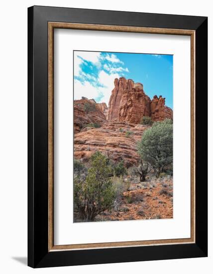 Sedona, Arizona, USA. Red rock formations-Jolly Sienda-Framed Photographic Print