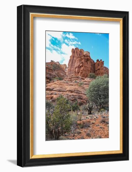 Sedona, Arizona, USA. Red rock formations-Jolly Sienda-Framed Photographic Print