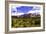 Sedona Valley I-Alan Hausenflock-Framed Premium Photographic Print