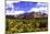 Sedona Valley I-Alan Hausenflock-Mounted Photographic Print