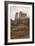 Sedona Vertical-Janice Sullivan-Framed Giclee Print